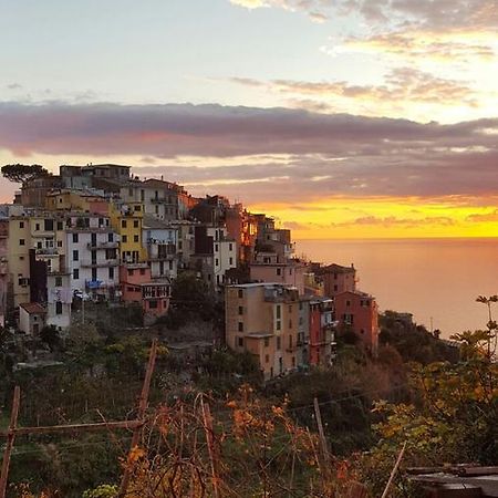 Terre Apartment Corniglia Eksteriør billede